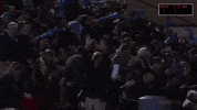 bjubruins bju bruins GIF