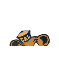 Calbears Sticker by Cal Athletics