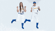 Softball GIF by Hofstra Pride