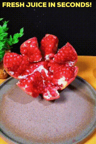 francescacacciaguerrarobbins giphygifmaker GIF