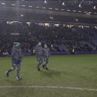 Powell GIF by Sheffield Wednesday Football Club