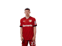 Bayer 04 Werkself Sticker by Bayer 04 Leverkusen