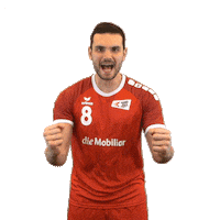 swisshandball_official happy goal win happiness Sticker