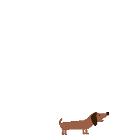 Dog Dachshund Sticker