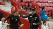 Come On Yes GIF by Liverpool FC