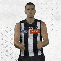 GIF by CollingwoodFC
