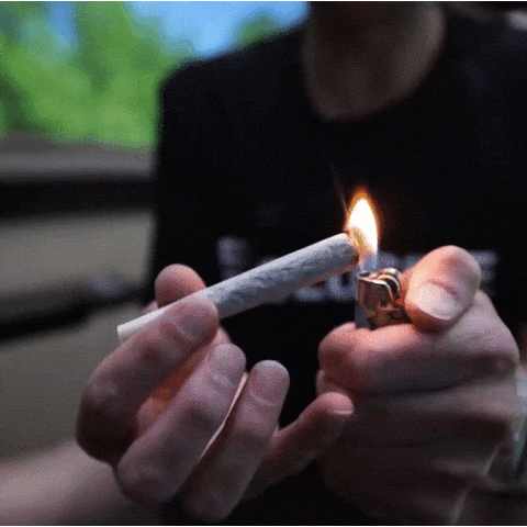 Roll Lighting Up GIF by Exclusive Brands