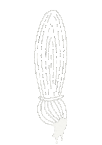 Art Brushing Sticker