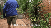 Huntedau GIF by Hunted Australia