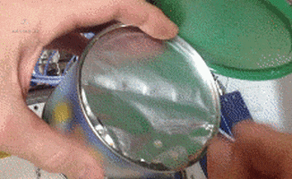 nuts GIF