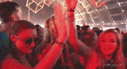 Vsco Girl GIF by Coachella
