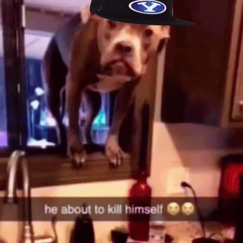 Dbf Depressed Dog GIF