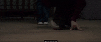 Rosebud GIF