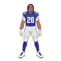 Indianapolis Colts Football Sticker by SportsManias