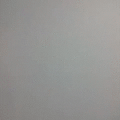 animation art GIF by Evan Hilton