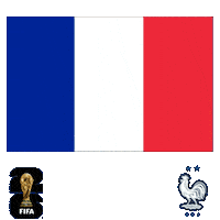 France Football Sticker by Pudgy Penguins