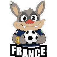 France Win Sticker