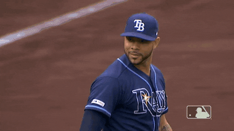 Regular Season Sport GIF by MLB