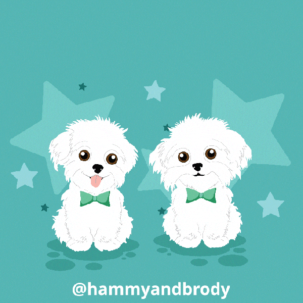 Dog GIF by HammyandBrody