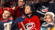 excited hockey GIF by Carolina Hurricanes