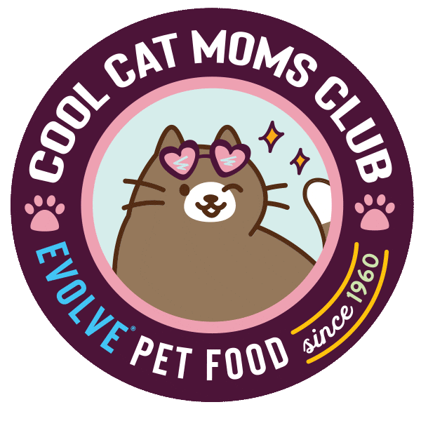 Cats Evolve Sticker by Sunshine Mills