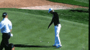 zach johnson no GIF