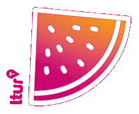 Vacation Melon Sticker by ltur