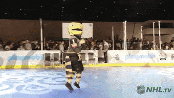Ice Hockey Dancing GIF by NHL