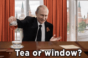 Vladimir Putin Russia GIF