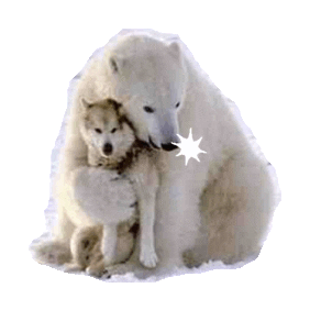 wolf STICKER by imoji