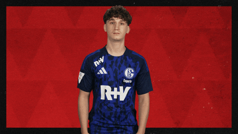 Schalke 04 What GIF by Bundesliga