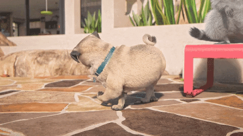 Dance Fun GIF by TeamTO