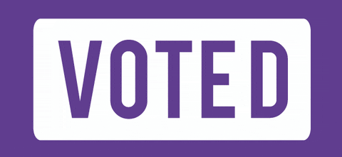 Vote Election GIF by Northumbria Students' Union