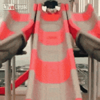 reaction mood GIF