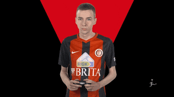 Wehen Wiesbaden Fifa GIF by Bundesliga