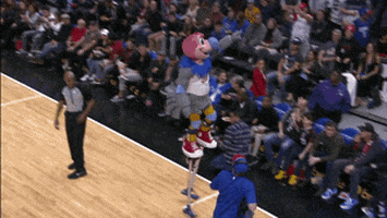 happy los angeles clippers GIF by NBA