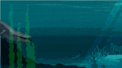 katherinerushin  GIF