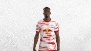 Come On No GIF by RB Leipzig