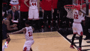 lebron james game winners GIF by NBA