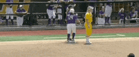 James Madison Softball GIF by NCAA Championships