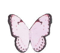 Swxmas Sticker by Sophia Webster