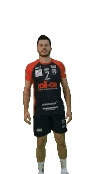 APANVOLEI apan gif gif apan Sticker