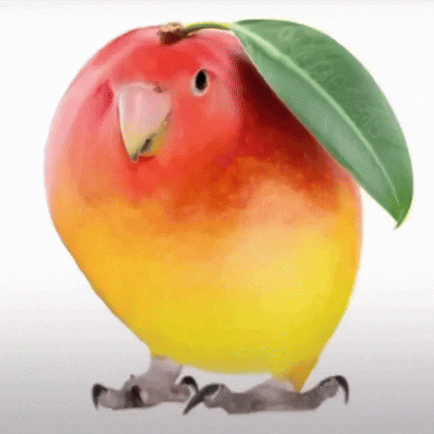 Bird Mango GIF
