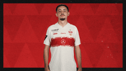 Vfb Stuttgart Football GIF by Bundesliga