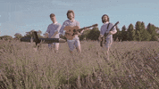 Ajr Brothers GIF by AJR