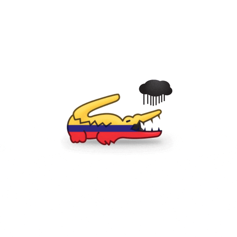 colombia cloud GIF by LACOSTE