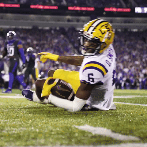 Football Catching GIF by LSU Tigers