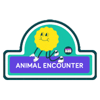 the_playful_den animal play playful liveplayfully Sticker
