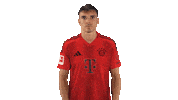 Fc Bayern Sticker by Bundesliga