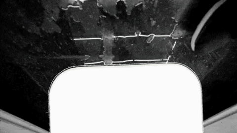 GIF by Paranoiia Productions